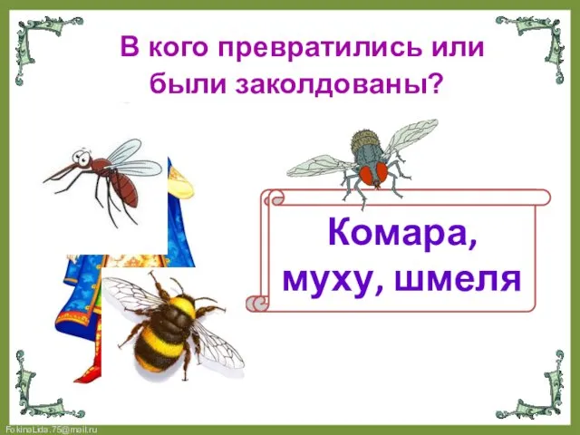 В кого превратились или были заколдованы? Князь Гвидон Комара, муху, шмеля