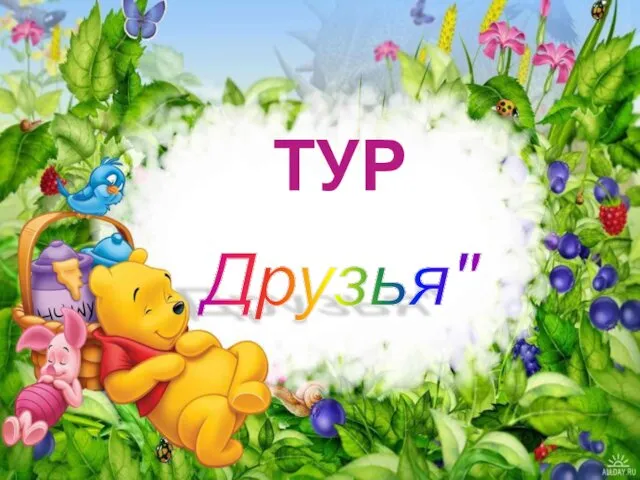 ТУР Друзья"