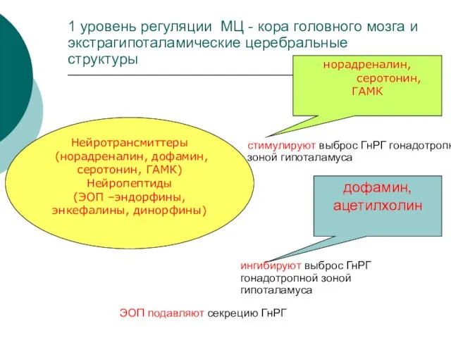 норадреналин, серотонин, ГАМК 1 уровень регуляции МЦ - кора головного мозга