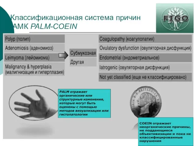 Классификационная система причин АМК PALM-COEIN