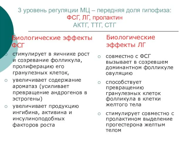 Биологические эффекты ФСГ стимулирует в яичнике рост и созревание фолликула, пролиферацию