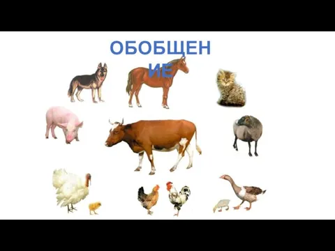 ОБОБЩЕНИЕ