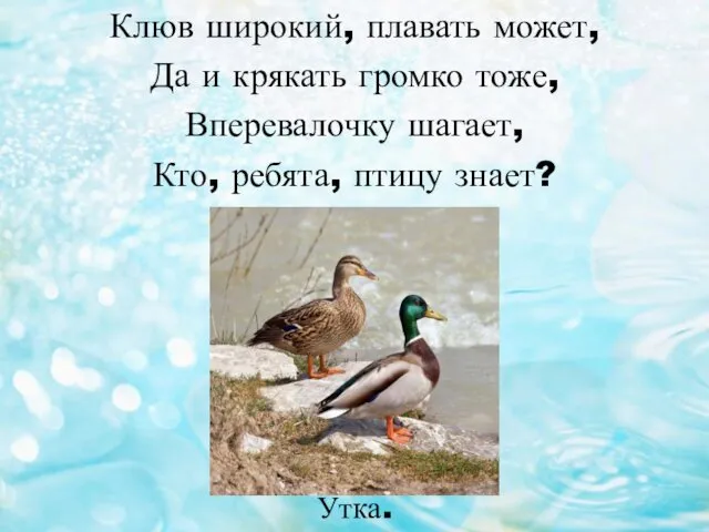 Клюв широкий, плавать может, Да и крякать громко тоже, Вперевалочку шагает, Кто, ребята, птицу знает? Утка.