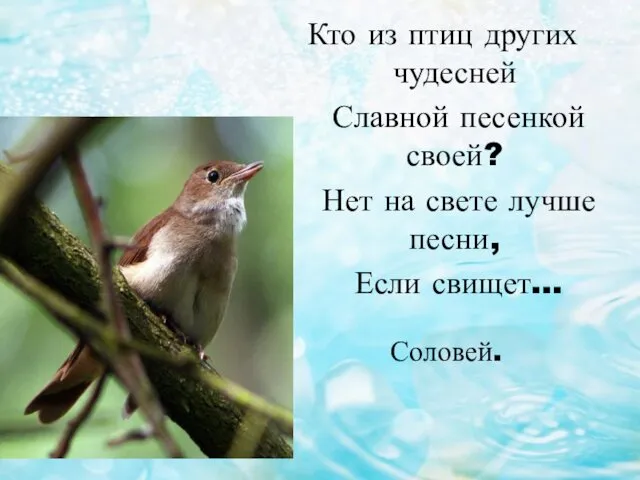 Кто из птиц других чудесней Славной песенкой своей? Нет на свете лучше песни, Если свищет… Соловей.