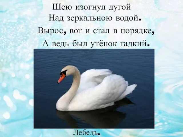 Шею изогнул дугой Над зеркальною водой. Вырос, вот и стал в