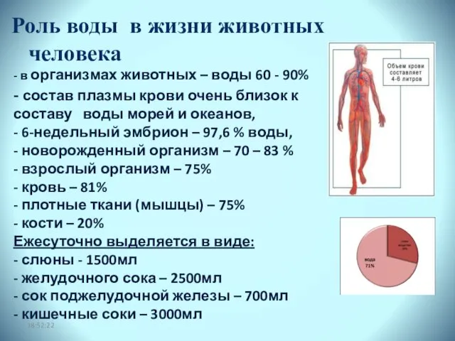 Роль воды в жизни животных человека 18:52:22 - в организмах животных