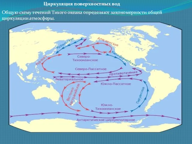 Циркуляция поверхностных вод Общую схему течений Тихого океана определяют закономерности общей циркуляции атмосферы.