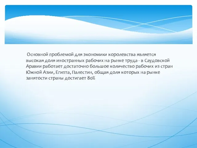 Основной проблемой для экономики королевства является высокая доля иностранных рабочих на