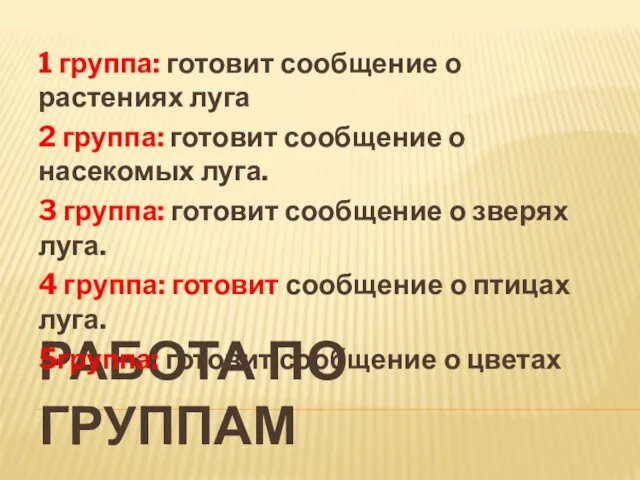 РАБОТА ПО ГРУППАМ 1 группа: готовит сообщение о растениях луга 2