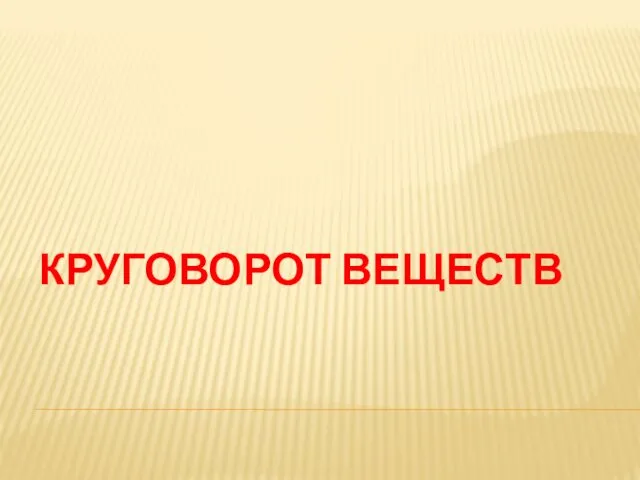 КРУГОВОРОТ ВЕЩЕСТВ