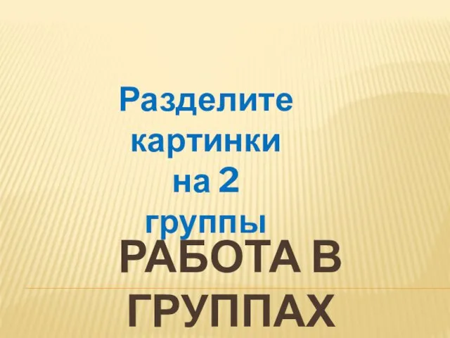 РАБОТА В ГРУППАХ Разделите картинки на 2 группы