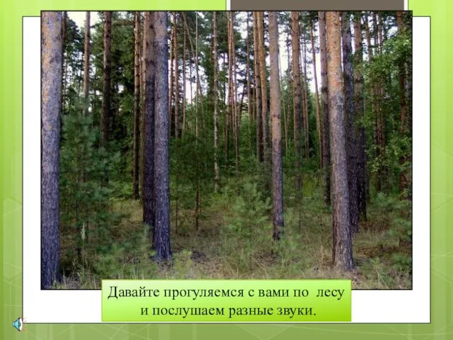 Давайте прогуляемся с вами по лесу и послушаем разные звуки.