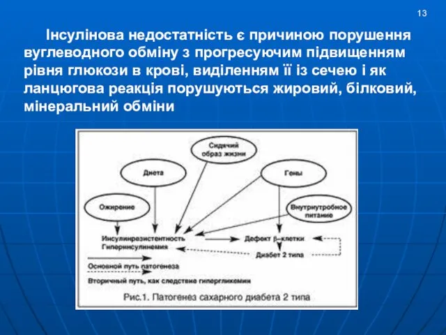 Інсулінова недостатність є причиною порушення вуглеводного обміну з прогресуючим підвищенням рівня