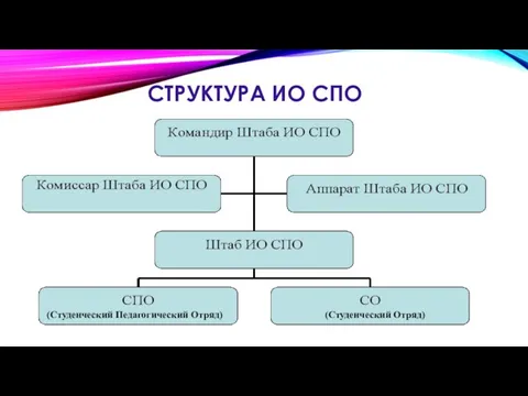 СТРУКТУРА ИО СПО (Студенческий Отряд) (Студенческий Педагогический Отряд)