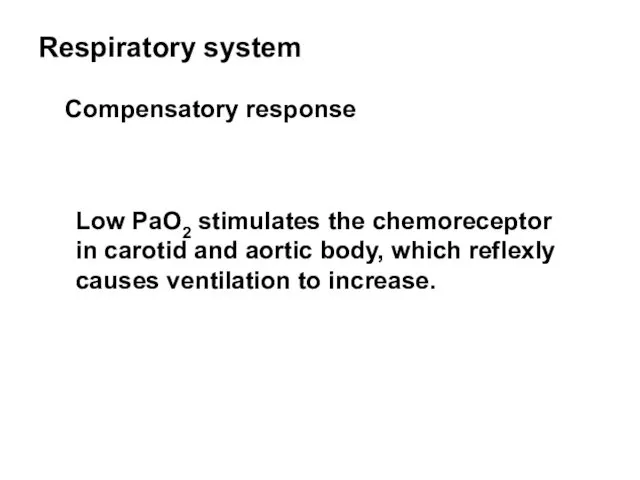 Respiratory system Compensatory response Low PaO2 stimulates the chemoreceptor in carotid