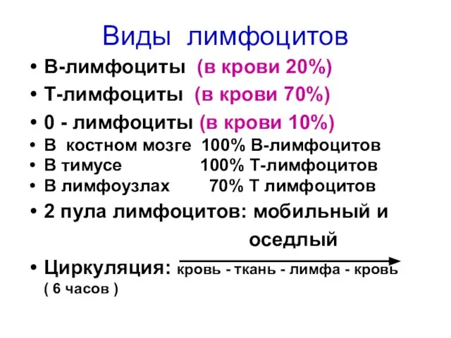 Виды лимфоцитов В-лимфоциты (в крови 20%) Т-лимфоциты (в крови 70%) 0