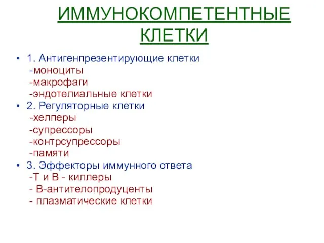 ИММУНОКОМПЕТЕНТНЫЕ КЛЕТКИ 1. Антигенпрезентирующие клетки -моноциты -макрофаги -эндотелиальные клетки 2. Регуляторные