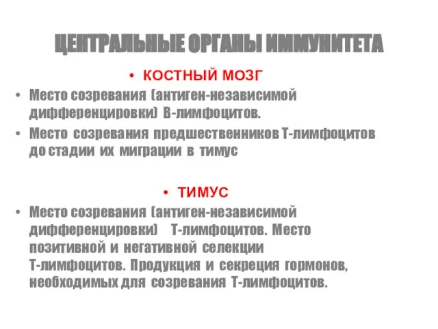 ЦЕНТРАЛЬНЫЕ ОРГАНЫ ИММУНИТЕТА КОСТНЫЙ МОЗГ Место созревания (антиген-независимой дифференцировки) В-лимфоцитов. Место