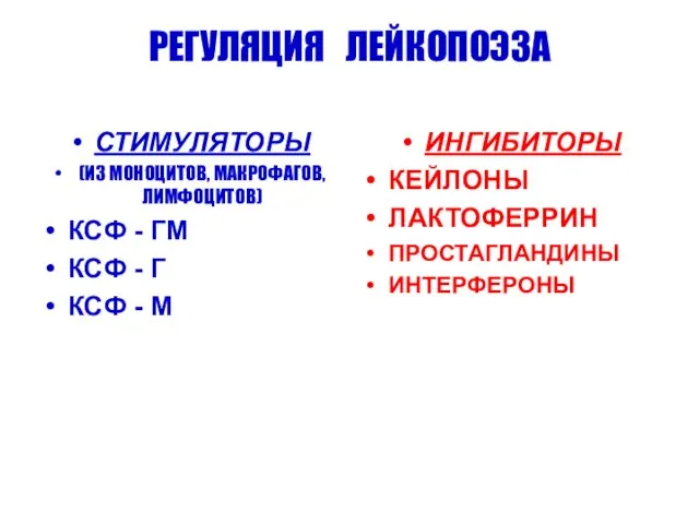 РЕГУЛЯЦИЯ ЛЕЙКОПОЭЗА СТИМУЛЯТОРЫ (ИЗ МОНОЦИТОВ, МАКРОФАГОВ, ЛИМФОЦИТОВ) КСФ - ГМ КСФ