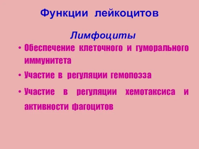 Лимфоциты Обеспечение клеточного и гуморального иммунитета Участие в регуляции гемопоэза Участие