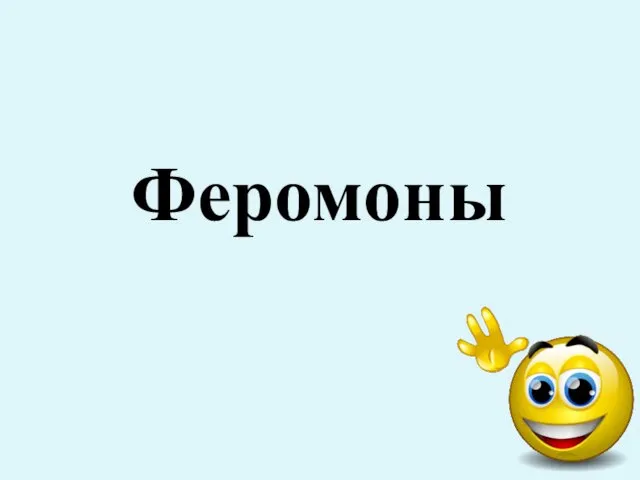 Феромоны