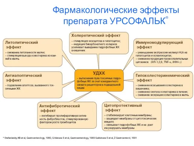 Фармакологические эффекты препарата УРСОФАЛЬК®