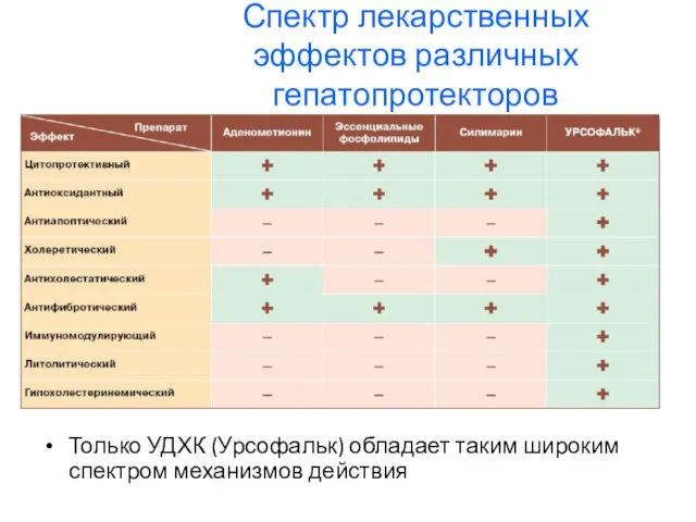 Спектр лекарственных эффектов различных гепатопротекторов Только УДХК (Урсофальк) обладает таким широким спектром механизмов действия