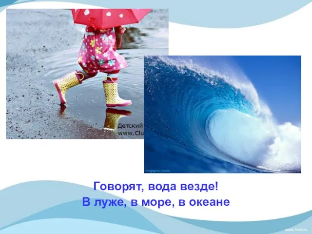 Говорят, вода везде! В луже, в море, в океане