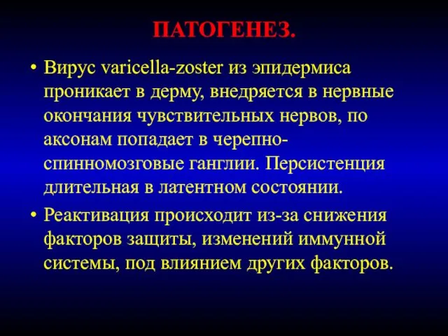 ПАТОГЕНЕЗ. Вирус varicella-zoster из эпидермиса проникает в дерму, внедряется в нервные