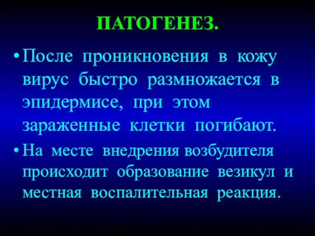 ПАТОГЕНЕЗ. После проникновения в кожу вирус быстро размножается в эпидермисе, при