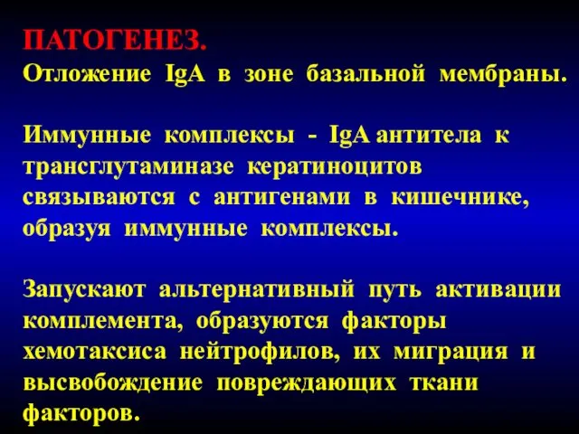 ПАТОГЕНЕЗ. Отложение IgA в зоне базальной мембраны. Иммунные комплексы - IgA