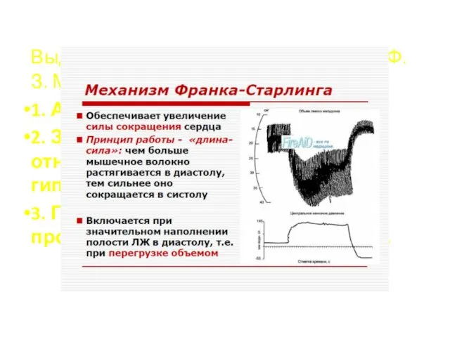 Выделяют три стадии гипертрофии (Ф.З. Меерсон) 1. Аварийная стадия. 2. Завершившейся