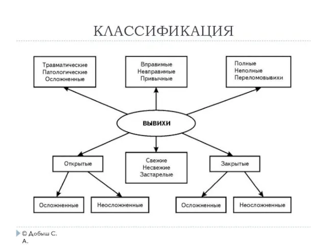 КЛАССИФИКАЦИЯ © Добыш С.А.