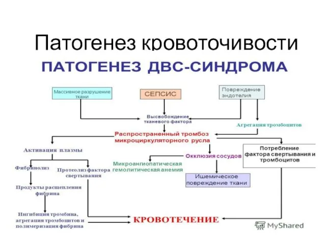 Патогенез кровоточивости при ДВС-синдроме