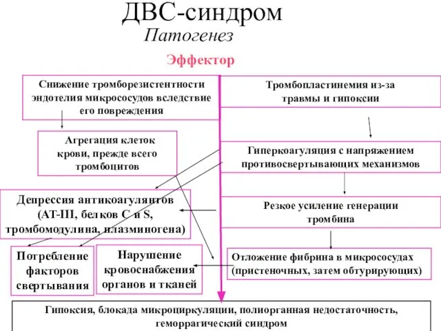 ДВС-синдром Патогенез Снижение тромборезистентности эндотелия микрососудов вследствие его повреждения Агрегация клеток