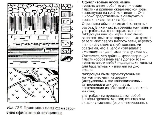 Офиолитовые ассоциации представляют собой тектонические пластины древней океанической коры, надвинутые на