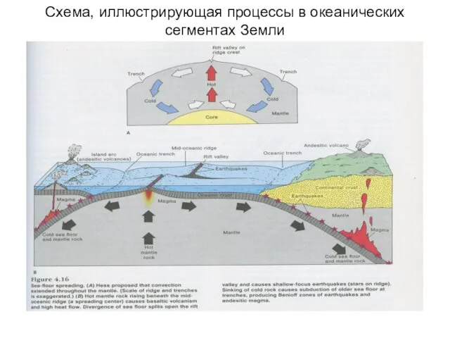 Схема, иллюстрирующая процессы в океанических сегментах Земли