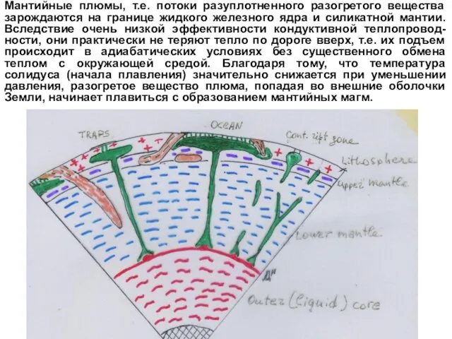 Мантийные плюмы, т.е. потоки разуплотненного разогретого вещества зарождаются на границе жидкого