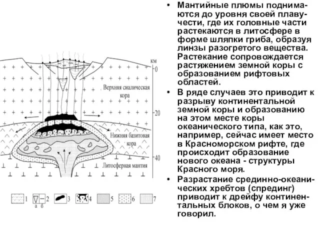 Мантийные плюмы поднима-ются до уровня своей плаву-чести, где их головные части