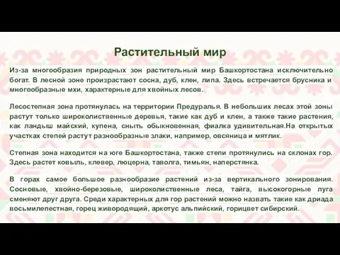 Растительный мир Из-за многообразия природных зон растительный мир Башкортостана исключительно богат.