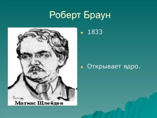 Роберт Браун 1833 Открывает ядро.