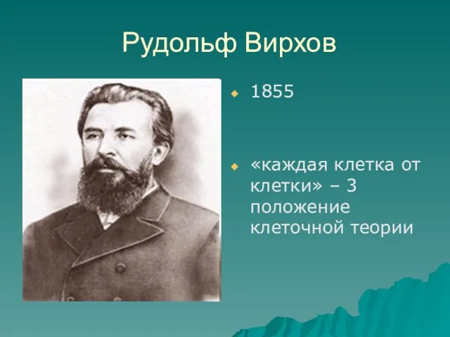 Рудольф Вирхов 1855 «каждая клетка от клетки» – 3 положение клеточной теории