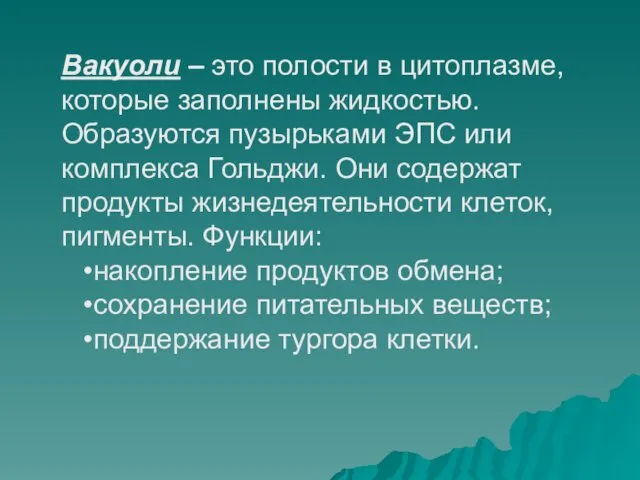 Вакуоли – это полости в цитоплазме, которые заполнены жидкостью. Образуются пузырьками