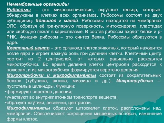 Немембранные органоиды Рибосомы – это микроскопические, округлые тельца, которые обнаружены в