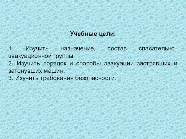 Учебные цели: 1. Изучить назначение, состав спасательно-эвакуационной группы. 2. Изучить порядок