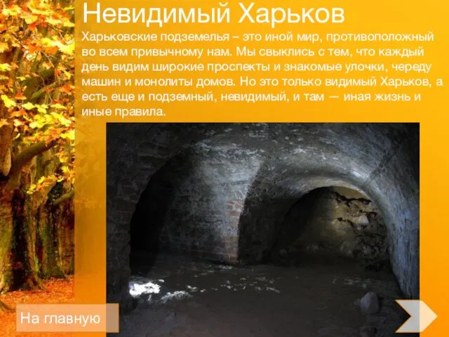 Невидимый Харьков Харьковские подземелья – это иной мир, противоположный во всем