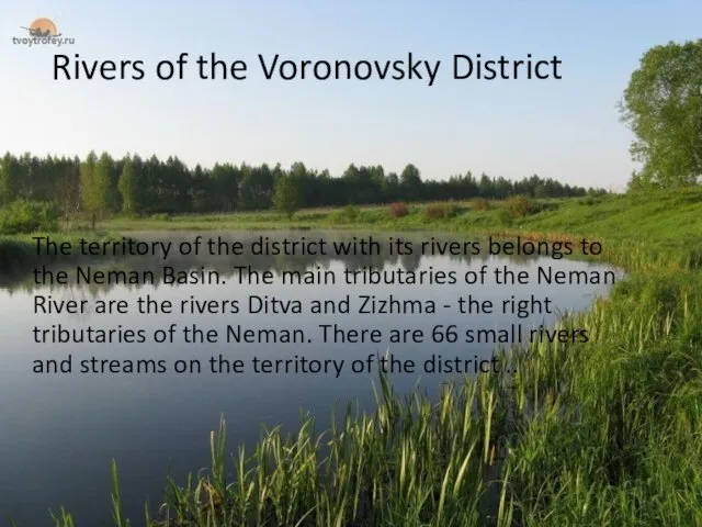 Rivers of the Voronovsky District The territory of the district with