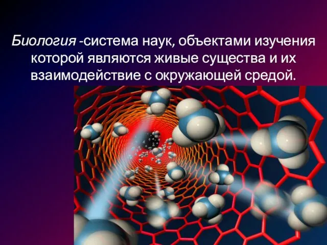 Биология -система наук, объектами изучения которой являются живые существа и их взаимодействие с окружающей средой.