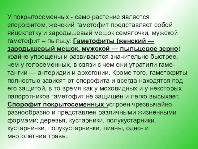 У покрытосеменных - само растение является спорофитом, женский гаметофит представляет собой