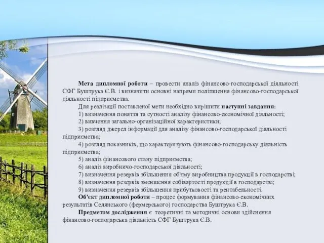 Мета дипломної роботи – провести аналіз фінансово-господарської діяльності СФГ Буштрука Є.В.